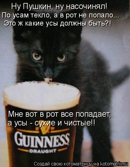 Ну Пушкин, ну насочинял! Это ж какие усы должны быть?! По усам текло, а в рот не попало... Мне вот в... Котоматрица: Ну Пушкин, ну насочинял! Это ж какие усы должны быть?! По усам текло, а в рот не попало... Мне вот в рот все попадает, а усы - сухие и чистые!!