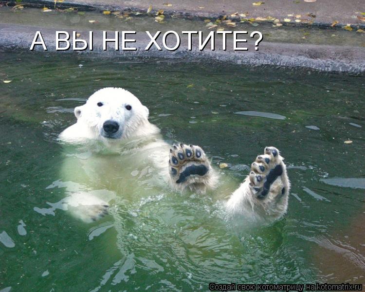 Котоматрица: А ВЫ НЕ ХОТИТЕ?