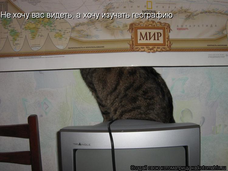 Не хочу вас видеть, а хочу изучать Не хочу вас видеть, а хочу изучать географию Не хочу вас видеть,... Котоматрица: Не хочу вас видеть, а хочу изучать Не хочу вас видеть, а хочу изучать географию Не хочу вас видеть, а хочу изучать географию