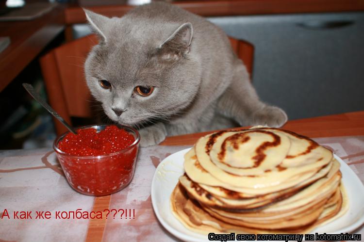 Котоматрица: А как же колбаса???!!!