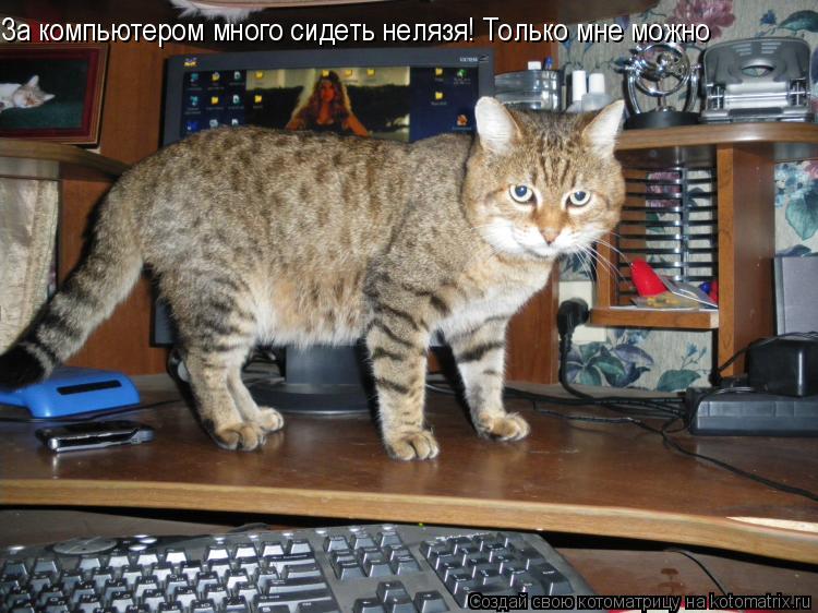 За компьютером много сидеть нелязя! Только мне можно... Котоматрица: За компьютером много сидеть нелязя! Только мне можно