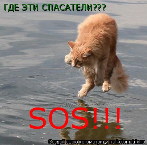 SOS!!! ГДЕ ЭТИ СПАСАТЕЛИ???... Котоматрица: SOS!!! ГДЕ ЭТИ СПАСАТЕЛИ???
