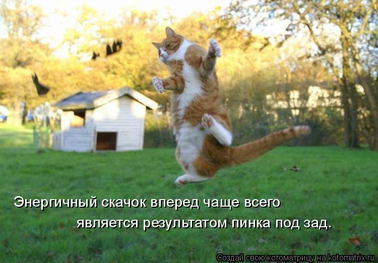 Энергичный скачок вперед чаще всего является результатом пинка под зад.... Котоматрица: Энергичный скачок вперед чаще всего является результатом пинка под зад.