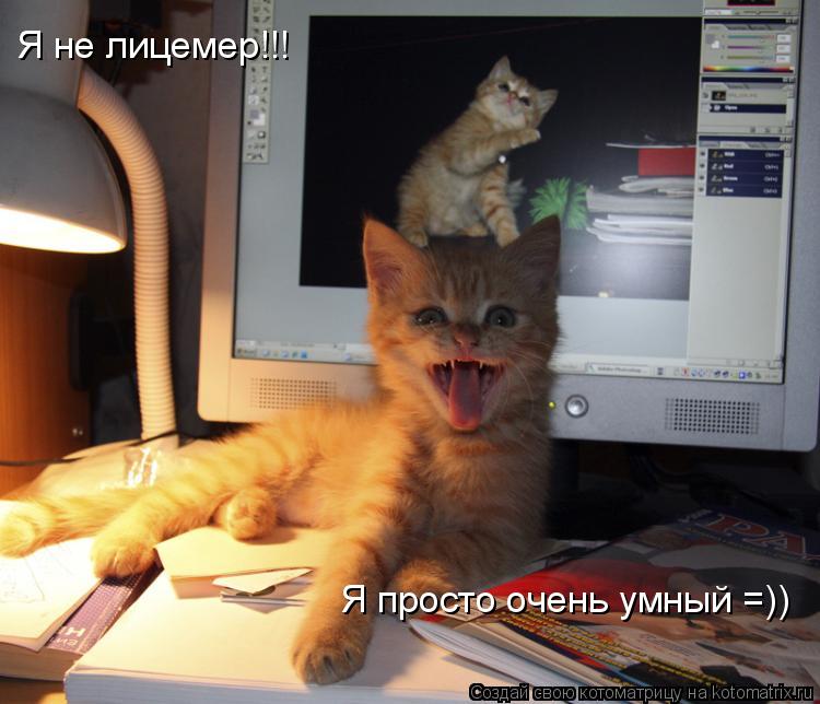 Котоматрица: Я не лицемер!!! Я просто очень умный =))