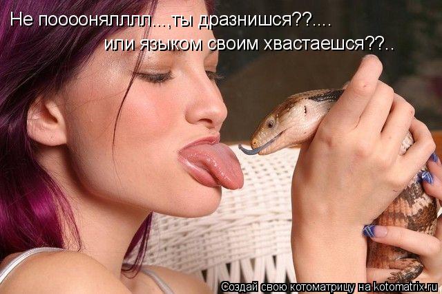 Не поооонялллл...,ты дразнишся??.... или языком своим хвастаешся??..... Котоматрица: Не поооонялллл...,ты дразнишся??.... или языком своим хвастаешся??..