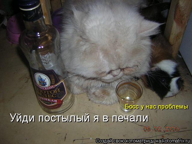 Котоматрица: Босс у нас проблемы Уйди постылый я в печали