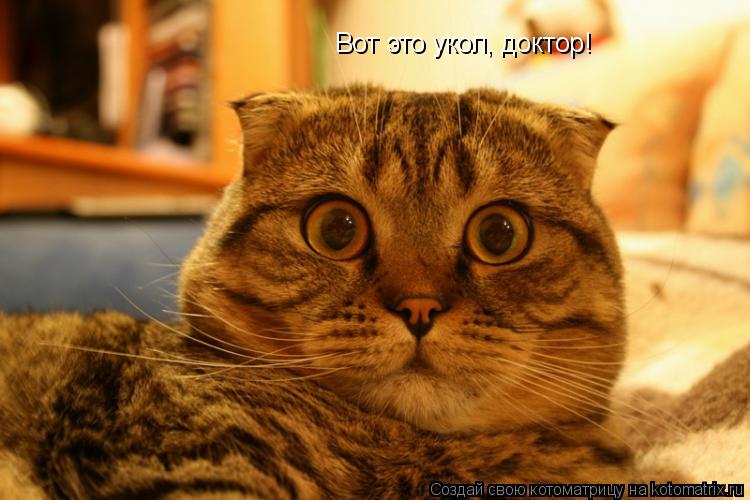 Котоматрица: Вот это укол, доктор!