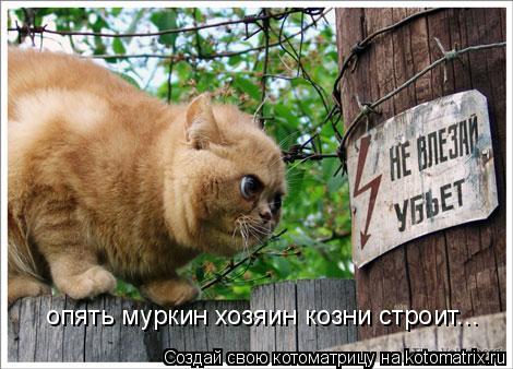 опять муркин хозяин козни строит...... Котоматрица: опять муркин хозяин козни строит...
