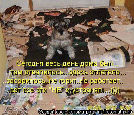 Котоматрица: Сегодня весь день дома был... .там отвалилось...здесь отлетело... ..засорилось..не горит..не работает.. ..вот все эти "НЕ" и устранял....))))