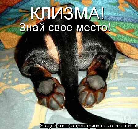 КЛИЗМА! Знай свое место!... Котоматрица: КЛИЗМА! Знай свое место!