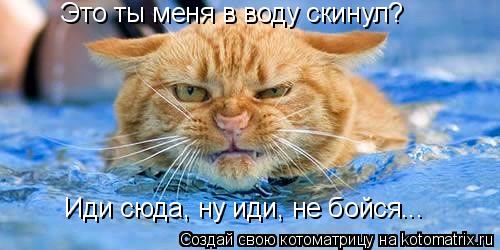 Это ты меня в воду скинул? Иди сюда, ну иди, не бойся...... Котоматрица: Это ты меня в воду скинул? Иди сюда, ну иди, не бойся...