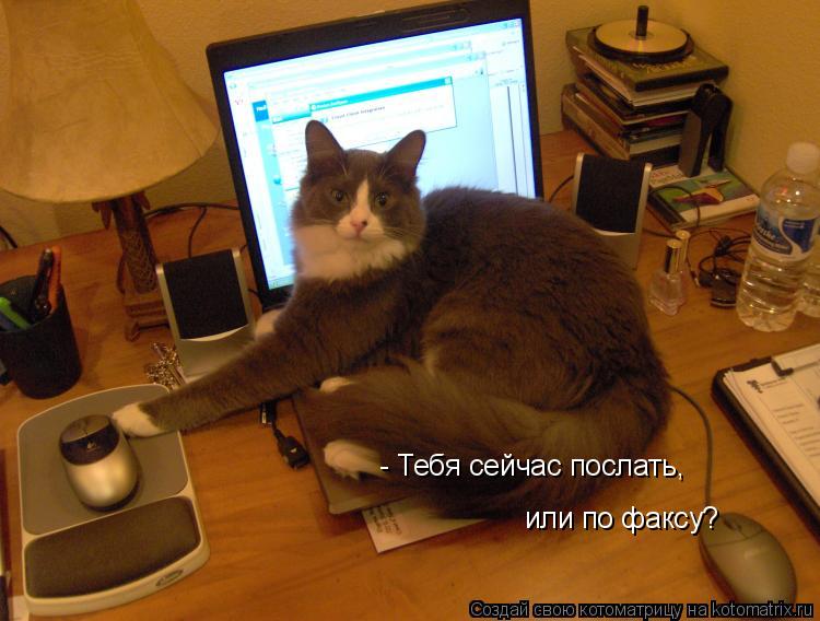 - Тебя сейчас послать, или по факсу?... Котоматрица: - Тебя сейчас послать, или по факсу?