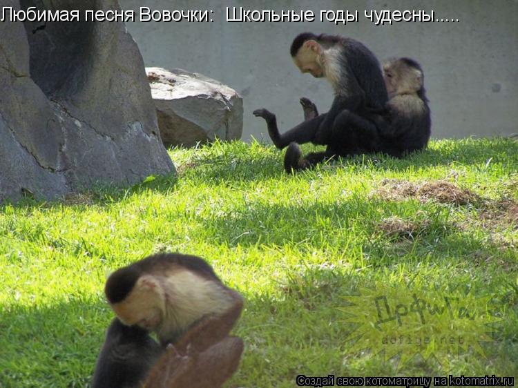 Школьные годы чудесны..... Любимая песня Вовочки:... Котоматрица: Школьные годы чудесны..... Любимая песня Вовочки: