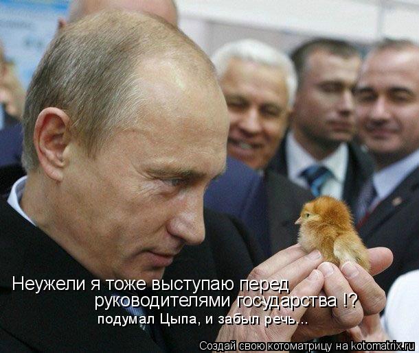 Неужели я тоже выступаю перед руководителями государства !? подумал Цыпа, и забыл речь...... Котоматрица: Неужели я тоже выступаю перед руководителями государства !? подумал Цыпа, и забыл речь...