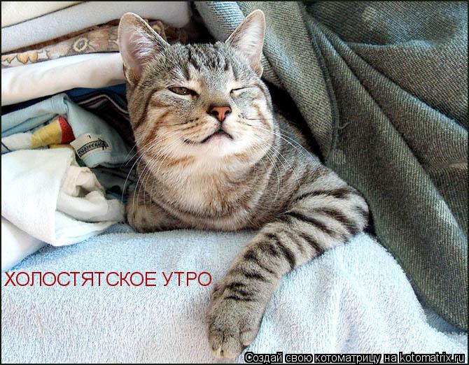 Котоматрица: ХОЛОСТЯТСКОЕ УТРО