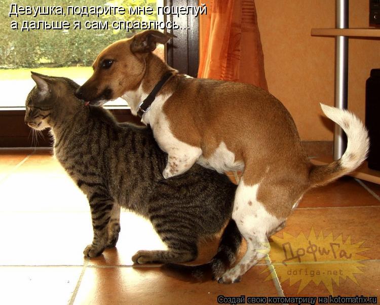 Девушка,подарите мне поцелуй а дальше я сам справлюсь...... Котоматрица: Девушка,подарите мне поцелуй а дальше я сам справлюсь...