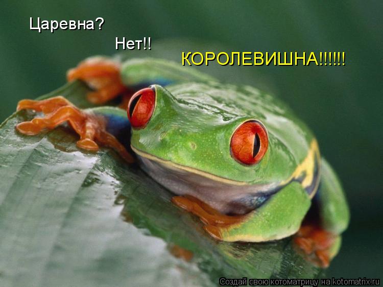 Царевна? Нет!! КОРОЛЕВИШНА!!!!!!... Котоматрица: Царевна? Нет!! КОРОЛЕВИШНА!!!!!!