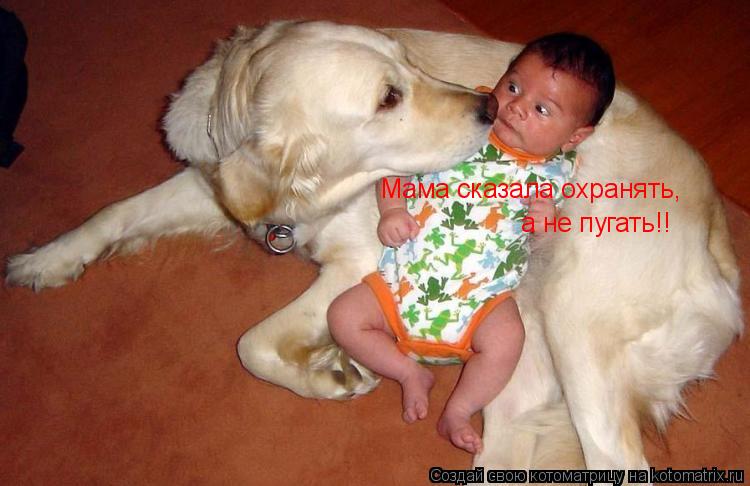 Мама сказала охранять, а не пугать!!... Котоматрица: Мама сказала охранять, а не пугать!!