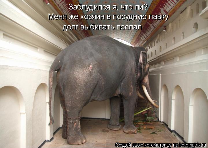 Котоматрица: Заблудился я, что ли?  Меня же хозяин в посудную лавку  долг выбивать послал