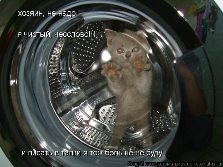 хозяин, не надо! хозяин, не надо! я чистый, чесслово!!! и писать в тапки я тож больше не буду....... Котоматрица: хозяин, не надо! хозяин, не надо! я чистый, чесслово!!! и писать в тапки я тож больше не буду....