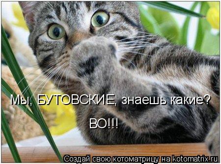Мы, БУТОВСКИЕ, знаешь какие? ВО!!!... Котоматрица: Мы, БУТОВСКИЕ, знаешь какие? ВО!!!