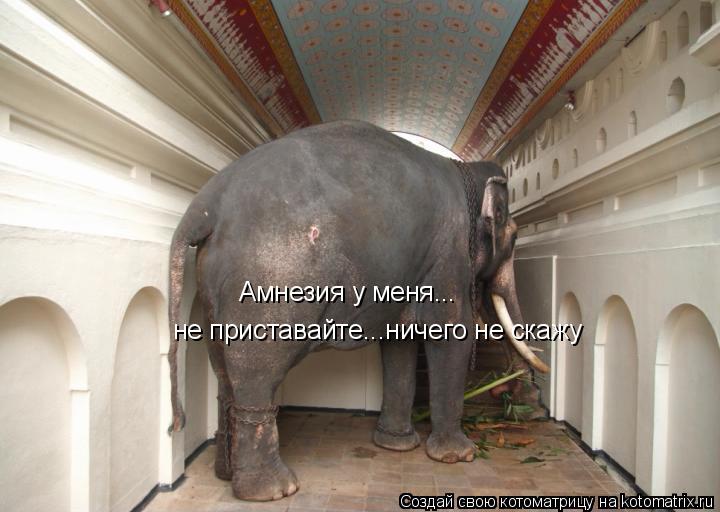 Котоматрица: Амнезия у меня... не приставайте...ничего не скажу