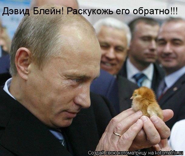 Дэвид Блейн! Раскукожь его обратно!!!... Котоматрица: Дэвид Блейн! Раскукожь его обратно!!!