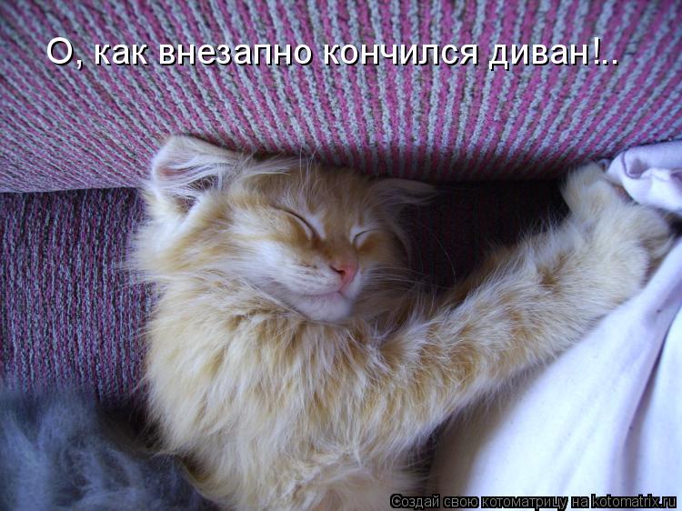 О, как внезапно кончился диван!..... Котоматрица: О, как внезапно кончился диван!..