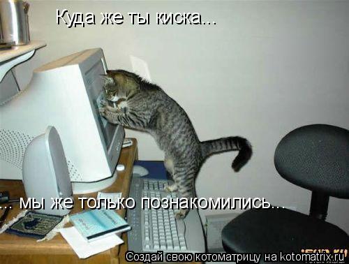 Котоматрица: Куда же ты киска... ... мы же только познакомились...