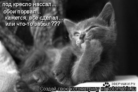 под кресло нассал... обои порвал... кажется, все сделал... или что-то забыл???... Котоматрица: под кресло нассал... обои порвал... кажется, все сделал... или что-то забыл???