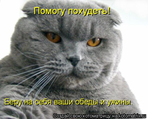 Беру на себя ваши обеды и ужины. Помогу похудеть!... Котоматрица: Беру на себя ваши обеды и ужины. Помогу похудеть!
