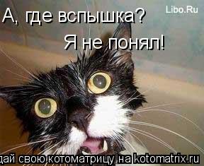 Котоматрица: А, где вспышка?  Я не понял!