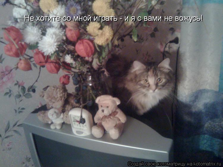 Не хотите со мной играть - и я с вами не вожусь!... Котоматрица: Не хотите со мной играть - и я с вами не вожусь!