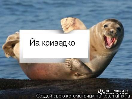 Йа криведко... Котоматрица: Йа криведко