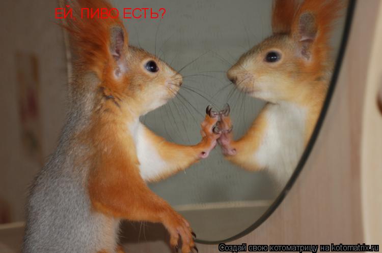 ЕЙ, ПИВО ЕСТЬ?... Котоматрица: ЕЙ, ПИВО ЕСТЬ?