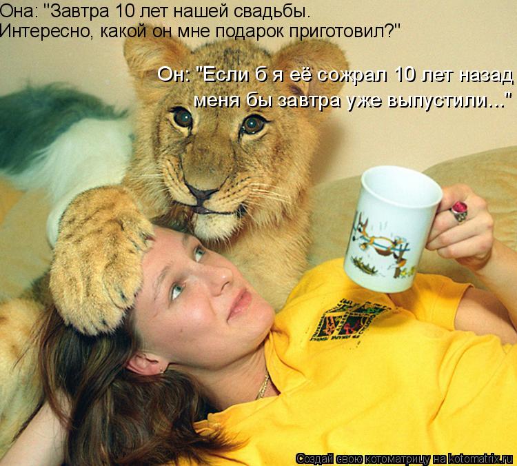 Котоматрица: Она: "Завтра 10 лет нашей свадьбы.   Он: "Если б я её сожрал 10 лет назад Интересно, какой он мне подарок приготовил?" меня бы завтра уже выпустили