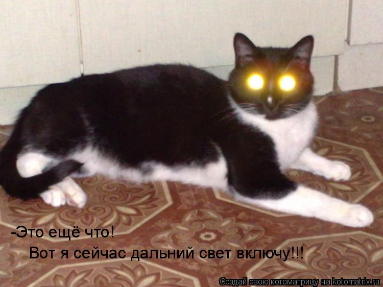 -Это ещё что! Вот я сейчас дальний свет включу!!!... Котоматрица: -Это ещё что! Вот я сейчас дальний свет включу!!!