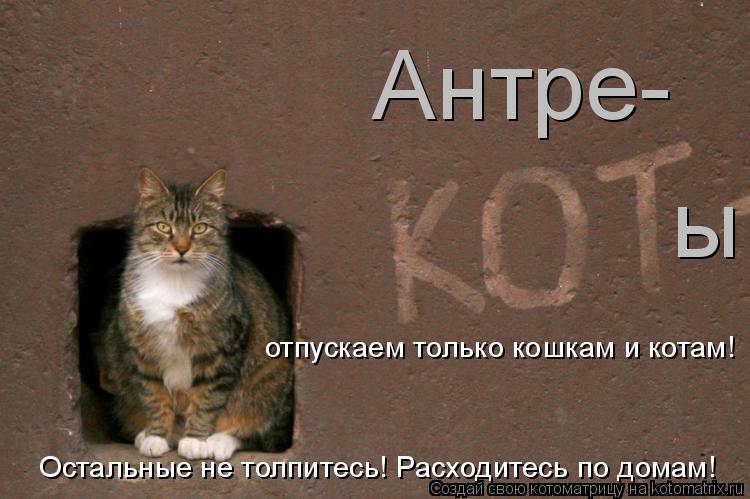 Антре- ы отпускаем только кошкам и котам! Остальные не толпитесь! Расходитесь по домам!... Котоматрица: Антре- ы отпускаем только кошкам и котам! Остальные не толпитесь! Расходитесь по домам!
