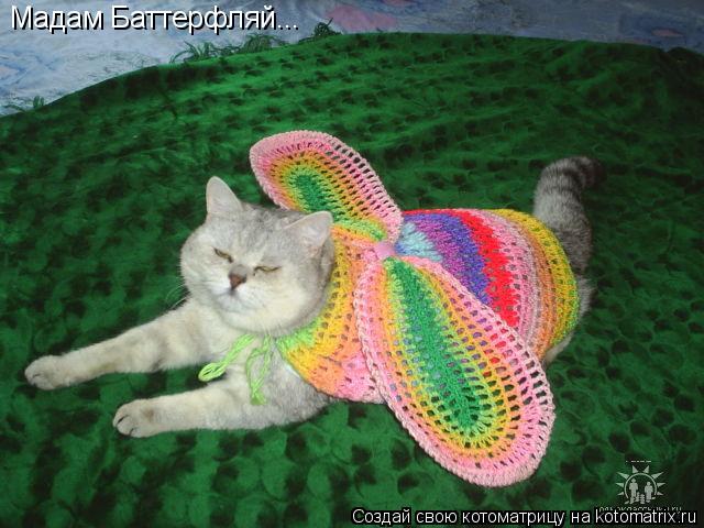 Мадам Баттерфляй...... Котоматрица: Мадам Баттерфляй...