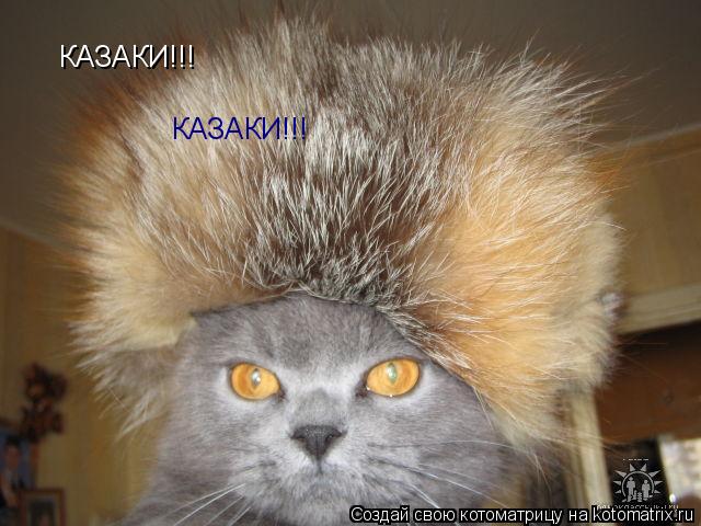 КАЗАКИ!!! КАЗАКИ!!!... Котоматрица: КАЗАКИ!!! КАЗАКИ!!!
