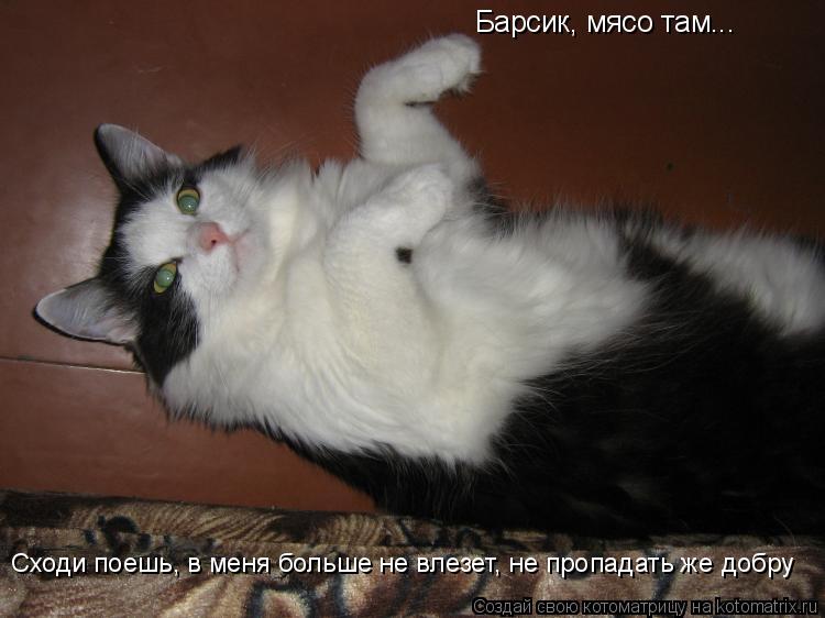 Барсик, мясо там... Сходи поешь, в меня больше не влезет, не пропадать же добру... Котоматрица: Барсик, мясо там... Сходи поешь, в меня больше не влезет, не пропадать же добру