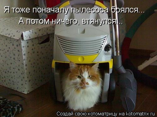 Я тоже поначалу пылесоса боялся... А потом ничего, втянулся...... Котоматрица: Я тоже поначалу пылесоса боялся... А потом ничего, втянулся...