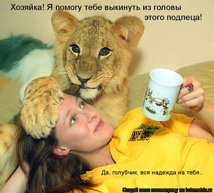 Хозяйка! Я помогу тебе выкинуть из головы этого подлеца! Да, голубчик, вся надежда на тебя..... Котоматрица: Хозяйка! Я помогу тебе выкинуть из головы этого подлеца! Да, голубчик, вся надежда на тебя..