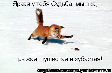 Котоматрица: Яркая у тебя Судьба, мышка,... ...рыжая, пушистая и зубастая!