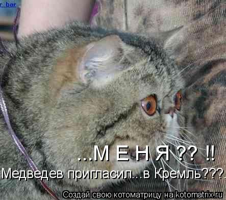 Котоматрица: ...М Е Н Я ?? !! Медведев пригласил...в Кремль???...