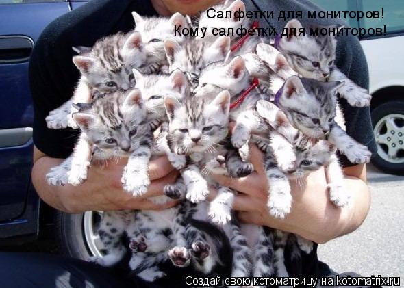 Котоматрица: Салфетки для мониторов! Кому салфетки для мониторов!