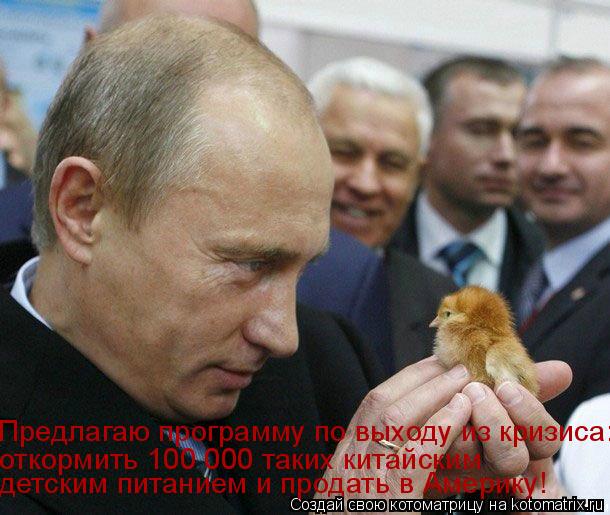 Котоматрица: Предлагаю программу по выходу из кризиса: откормить 100 000 таких китайским  детским питанием и продать в Америку!