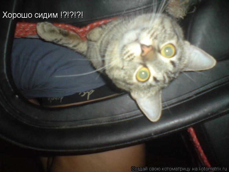 Котоматрица: Хорошо сидим !?!?!?!