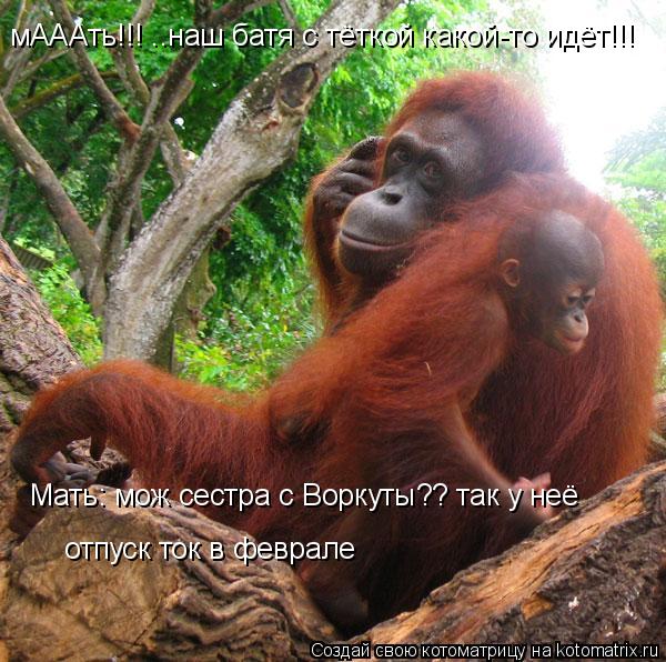 мАААть!!! ..наш батя с тёткой какой-то идёт!!! Мать: мож сестра с Воркуты?? так у неё отпуск ток в ф... Котоматрица: мАААть!!! ..наш батя с тёткой какой-то идёт!!! Мать: мож сестра с Воркуты?? так у неё отпуск ток в феврале