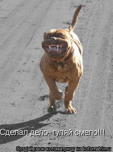 Сделал дело, гуляй смело!!!... Котоматрица: Сделал дело, гуляй смело!!!